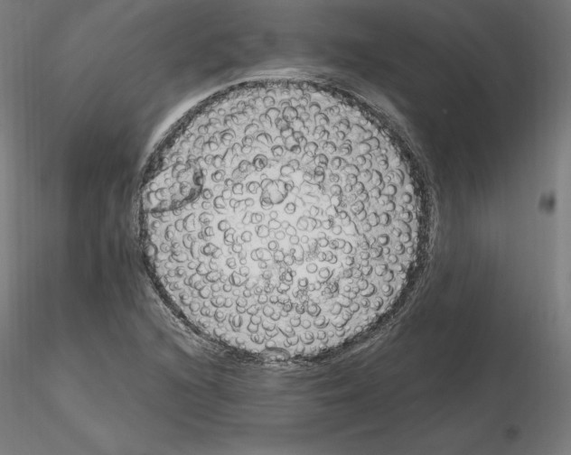 X0000115481216200912181201