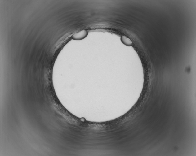 X0000115481217200912181201