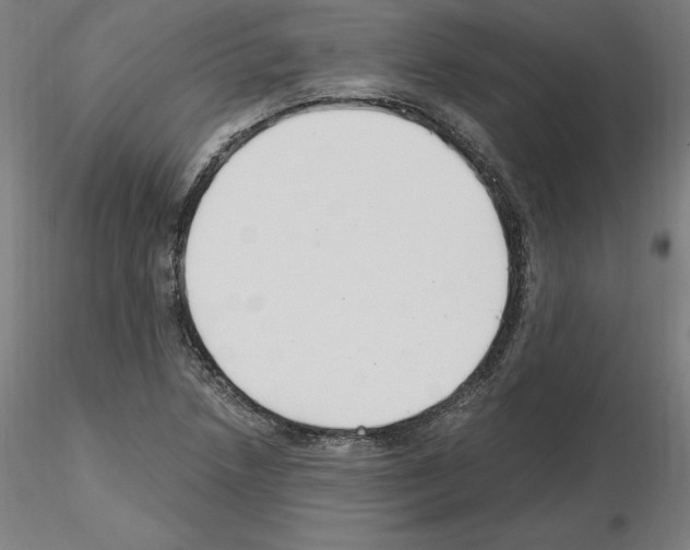X0000115481218200912181201