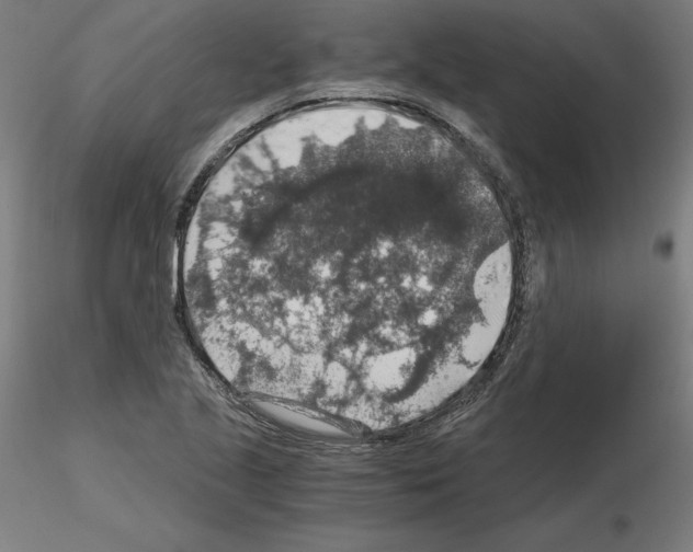 X0000115481221200912181201