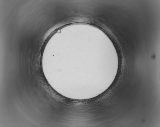 X0000115481222200912181201