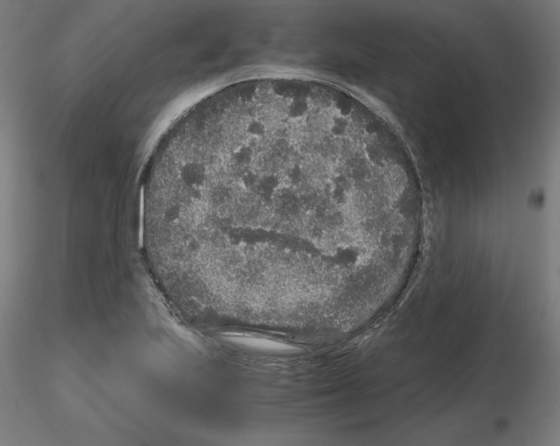 X0000115481223200912181201