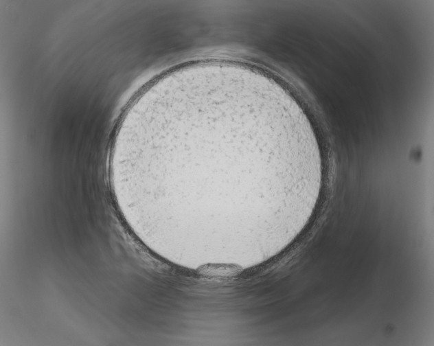 X0000115481224200912181201