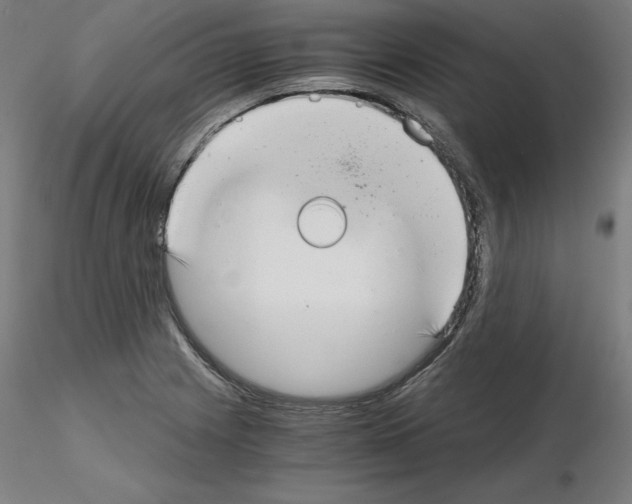 X0000115481225200912181201