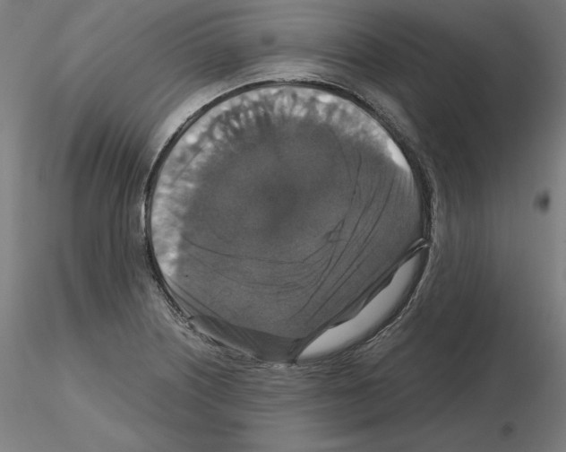 X0000115481226200912181201