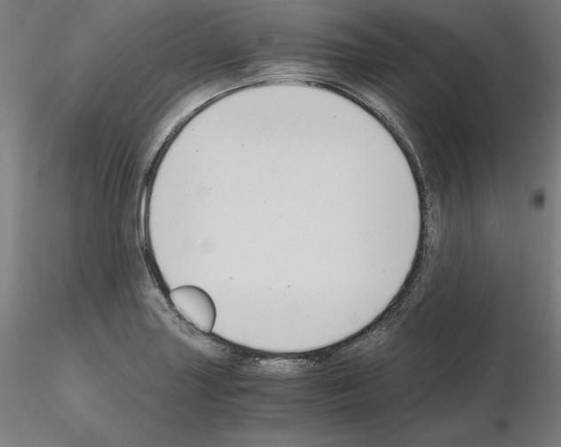 X0000115481227200912181201