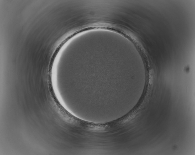X0000115481229200912181201