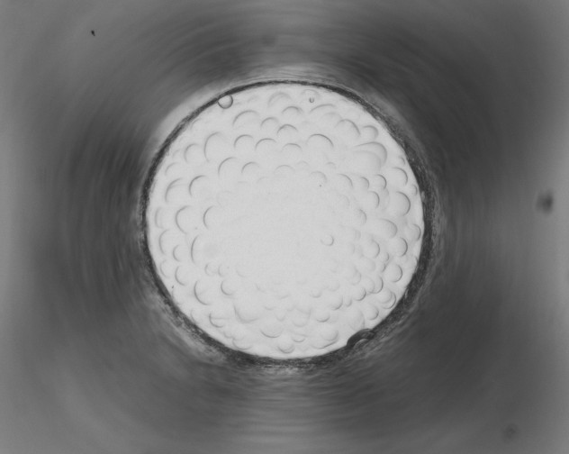 X0000115481230200912181201