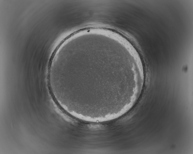 X0000115481231200912181201