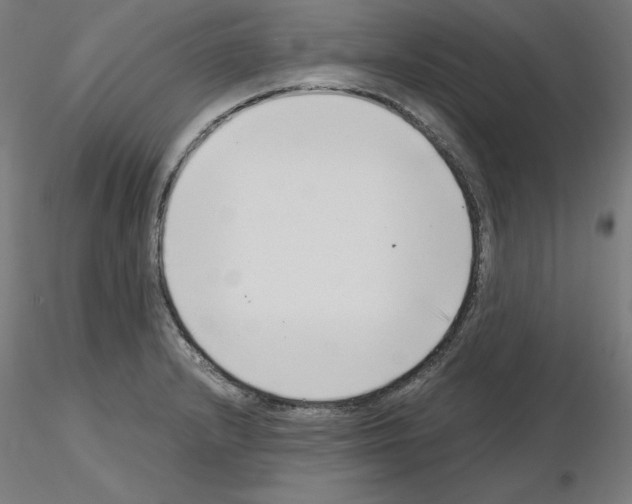 X0000115481232200912181201