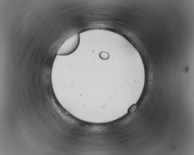 X0000115481233200912181201
