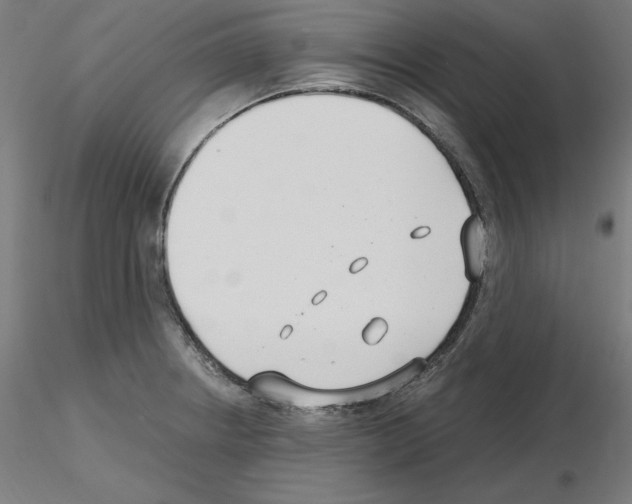 X0000115481234200912181201