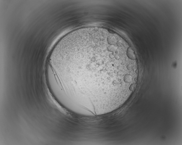 X0000115481235200912181201