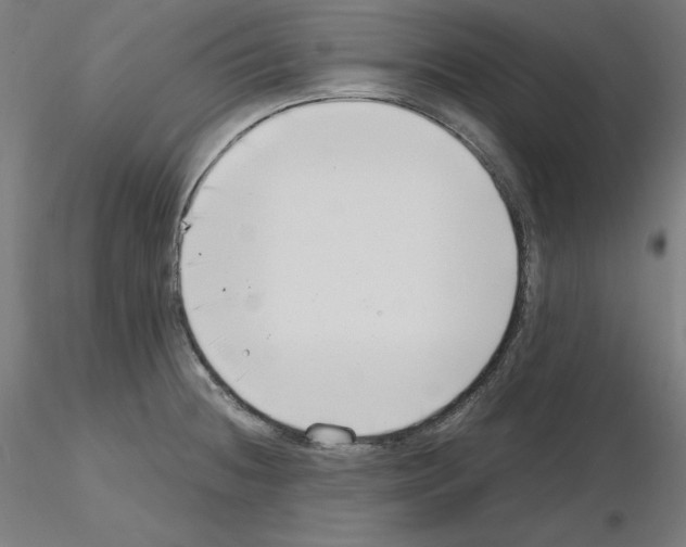X0000115481236200912181201