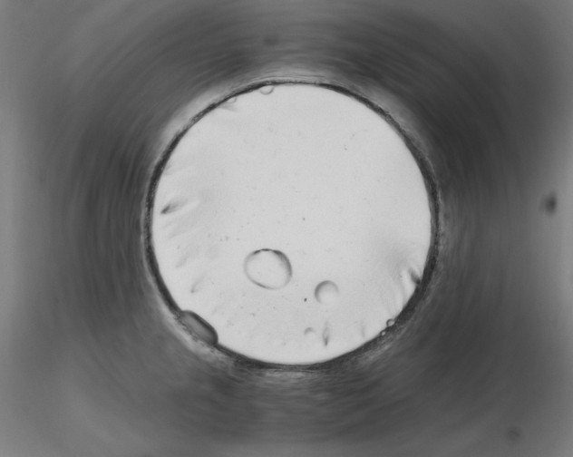 X0000115481237200912181202