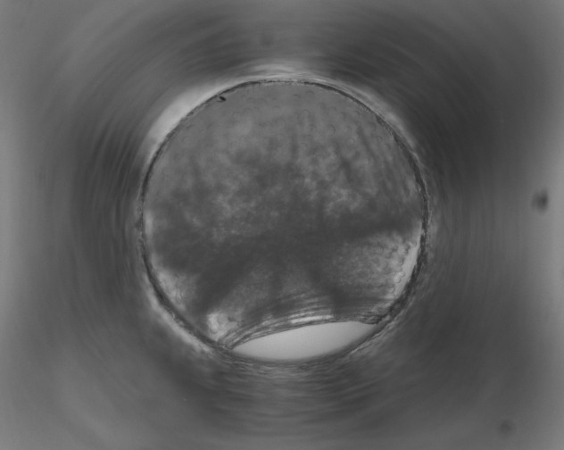 X0000115481239200912181202