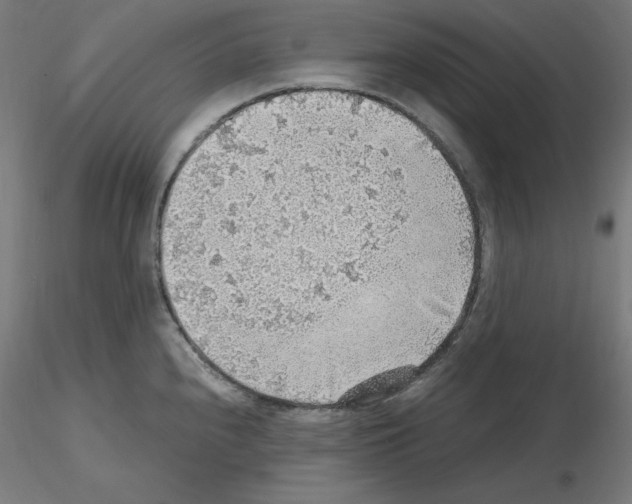 X0000115481240200912181202