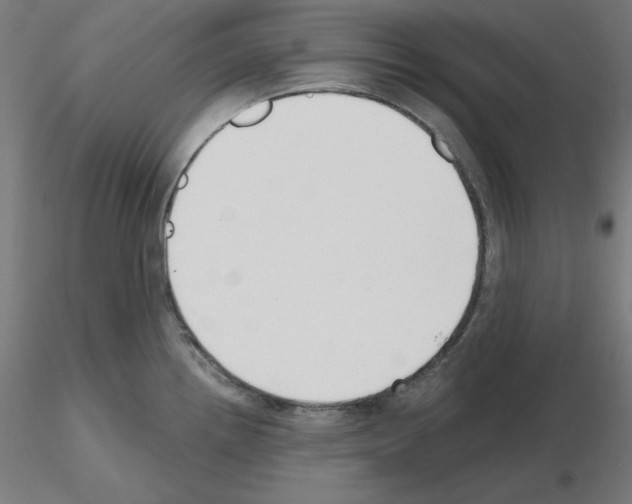 X0000115481242200912181202