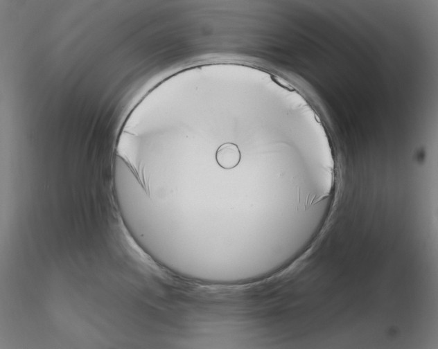 X0000115481244200912181202