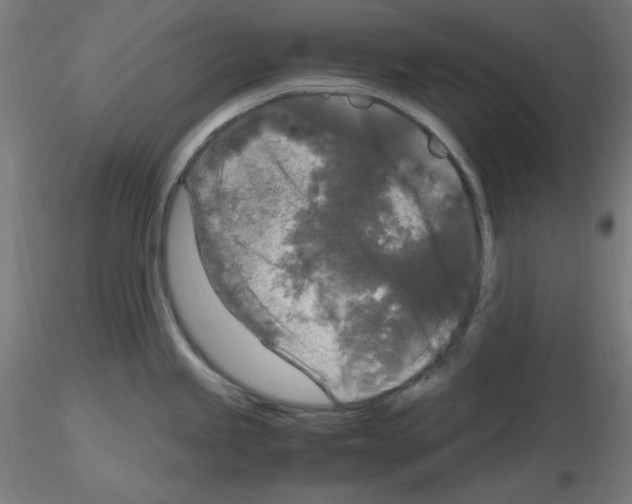 X0000115481245200912181202