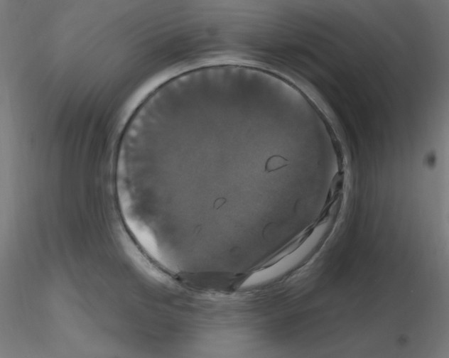 X0000115481246200912181202