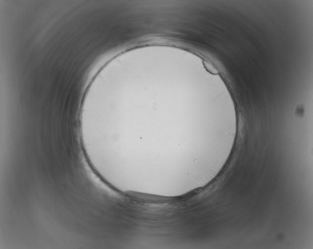 X0000115481247200912181202