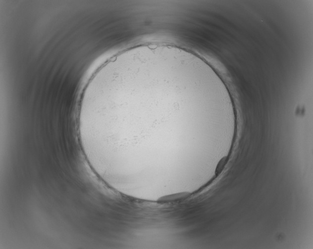 X0000115481248200912181202
