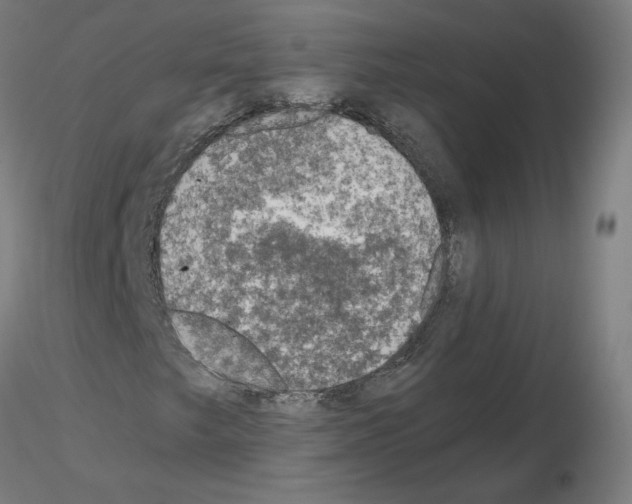 X0000115481249200912181201