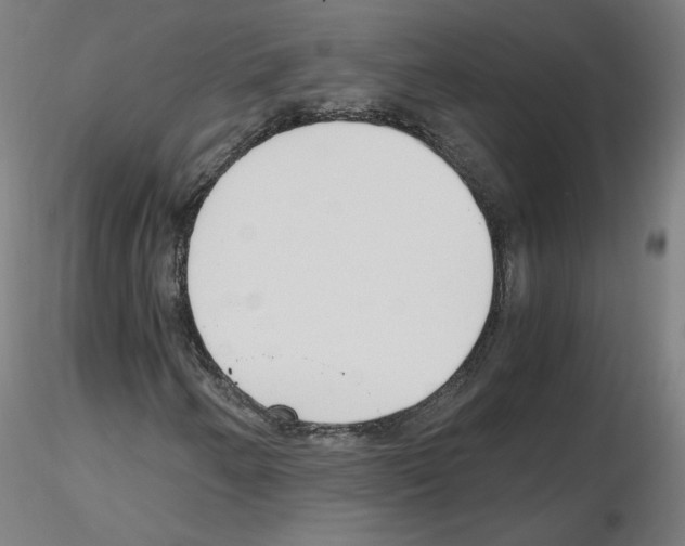 X0000115481250200912181201