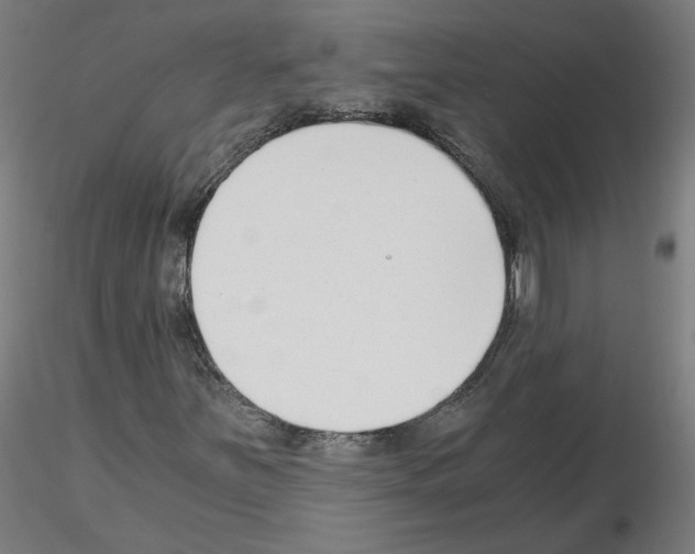 X0000115481251200912181201