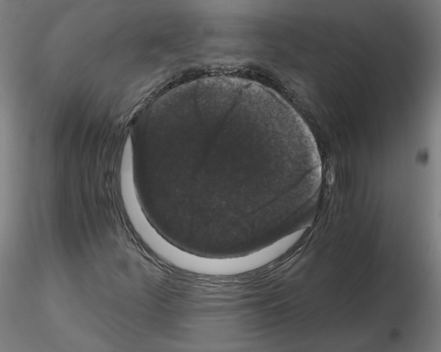 X0000115481252200912181201