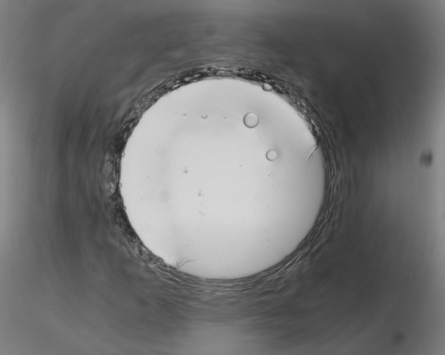 X0000115481253200912181201