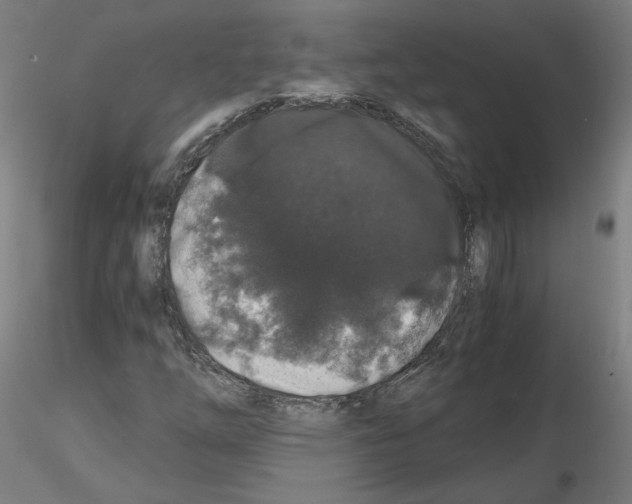 X0000115481254200912181201
