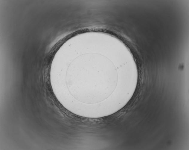 X0000115481255200912181201