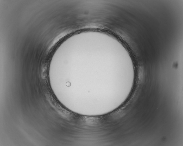 X0000115481258200912181201