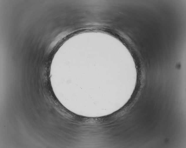 X0000115481259200912181201
