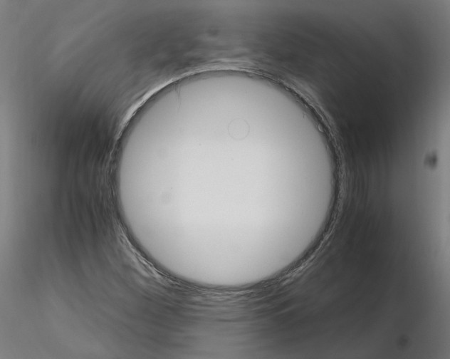 X0000115481260200912181201