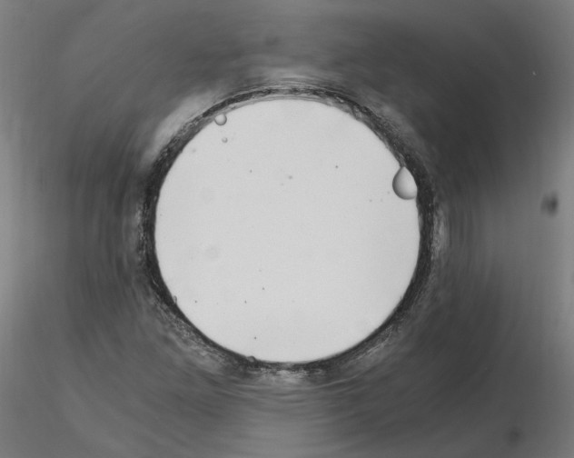 X0000115481261200912181201