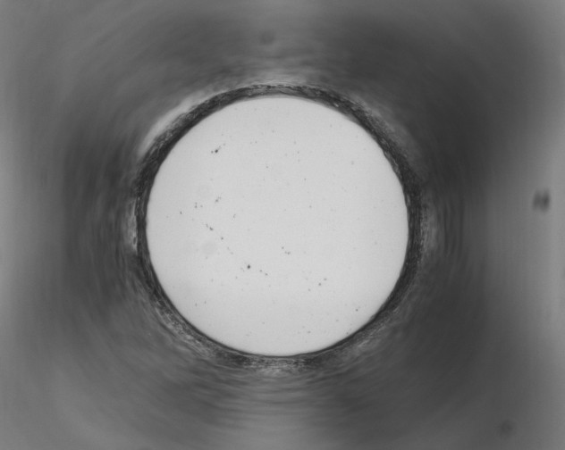 X0000115481262200912181201