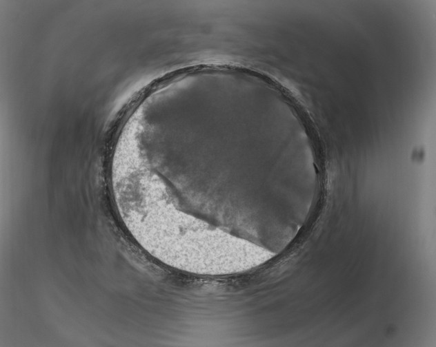X0000115481263200912181201