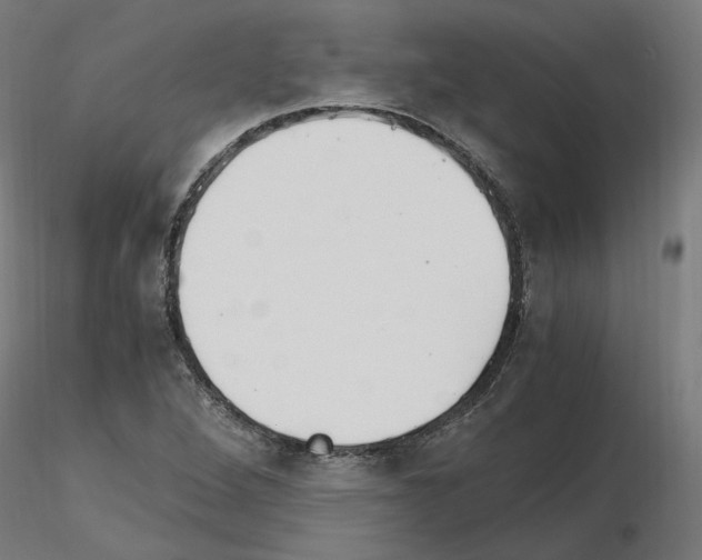 X0000115481264200912181201