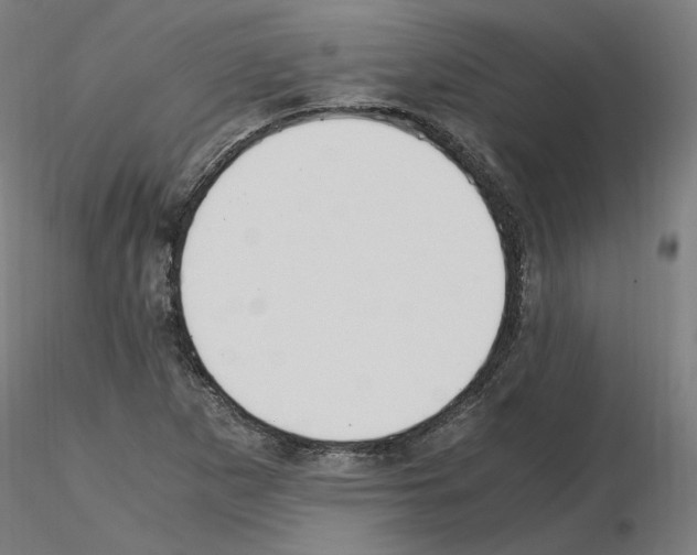 X0000115481265200912181201