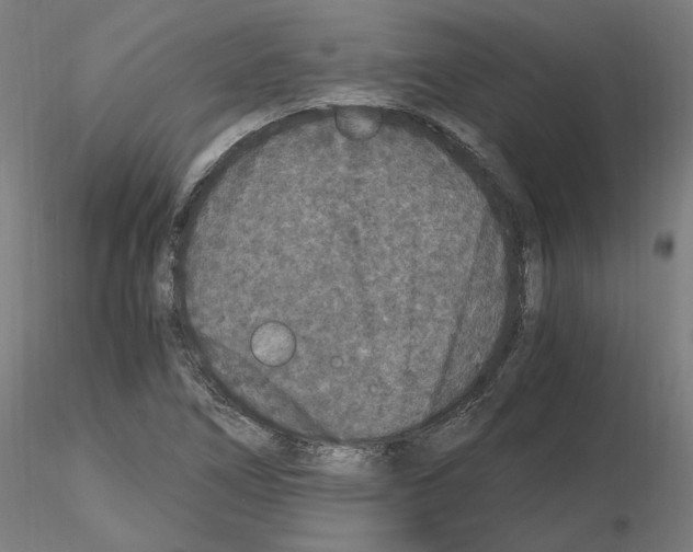 X0000115481266200912181201
