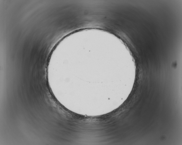 X0000115481268200912181201