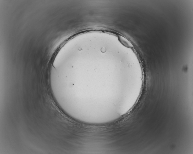 X0000115481269200912181201