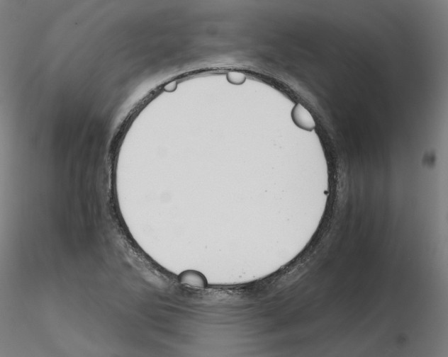 X0000115481270200912181201