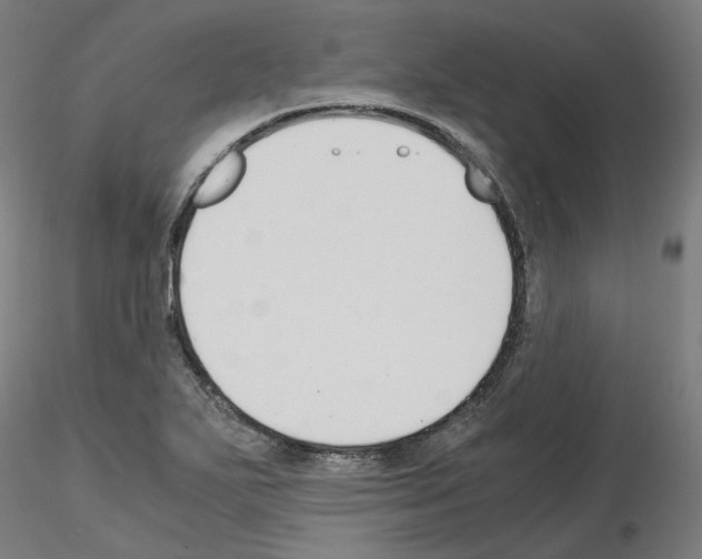 X0000115481271200912181201