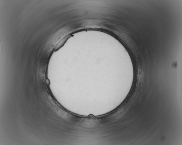 X0000115481273200912181201