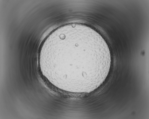 X0000115481274200912181201
