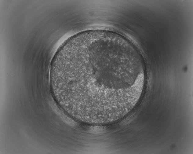 X0000115481275200912181201